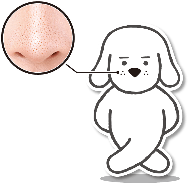 黒鼻ビーグルの特徴